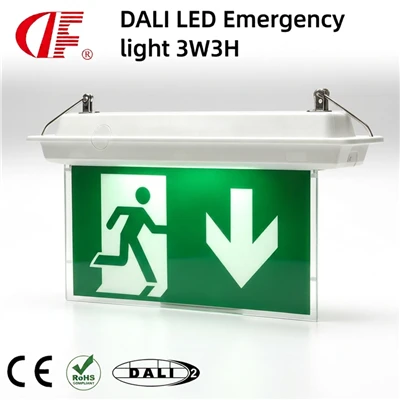 DALI-2 LED neyðarútgangsljós 3W 3 klst varalýsing með sjálfvirkri prófunaraðgerð